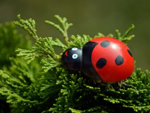 INTERPOLATED LUNAR APOGEE