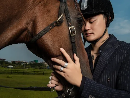 Rüyada Marti Olup Uçmak