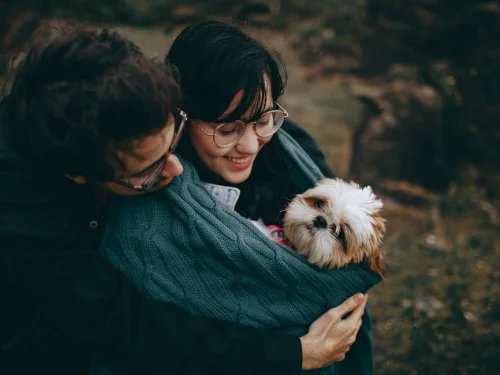 Rüyada Martılara Ekmek Atmak