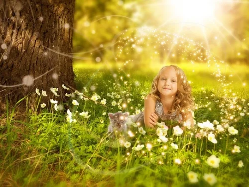 Rüyada Martılarla Uçmak